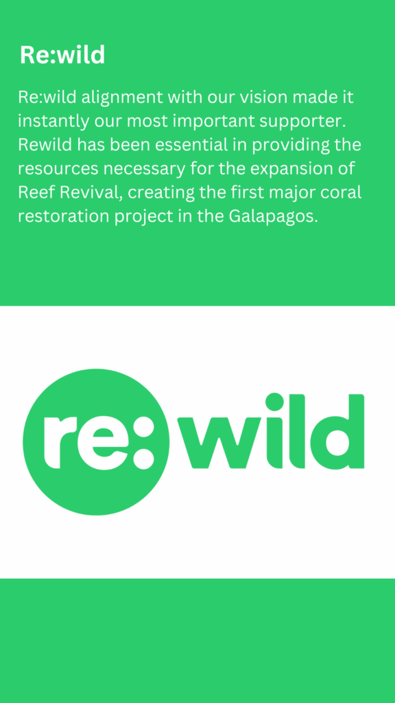 Rewild