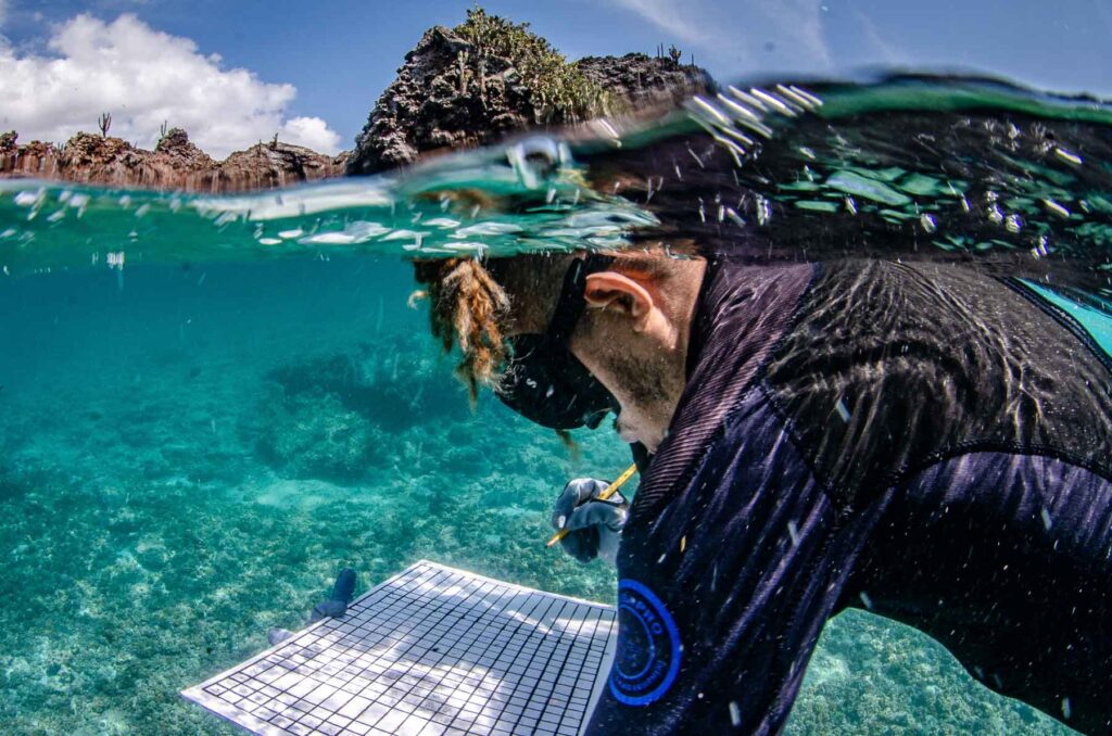 Galapagos, coral reef revival, fish, coral, coral restoration, exploration