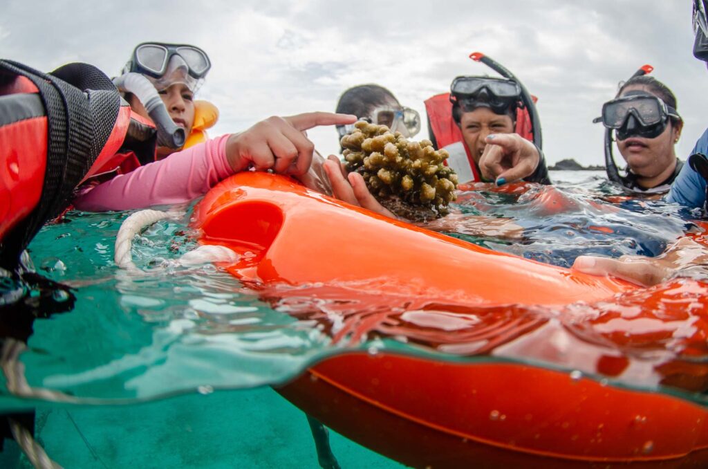 Galapagos, coral reef revival, fish, coral, coral restoration, coral education, education, empowering ocean stewards