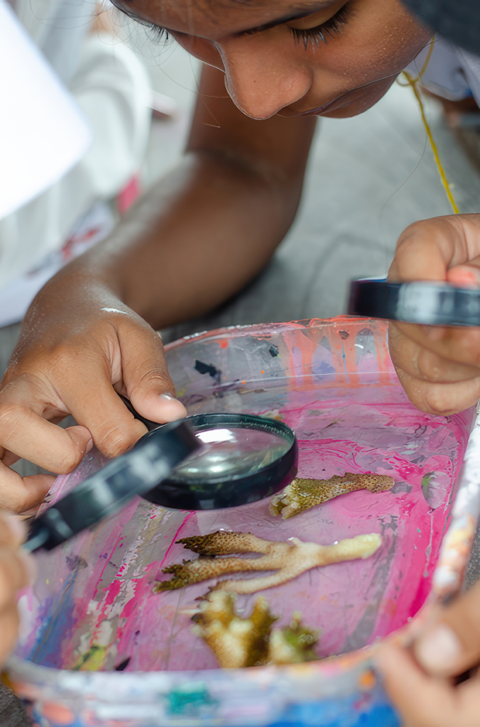 Galapagos, coral reef revival, fish, coral, coral restoration, coral education, education, empowering ocean stewards