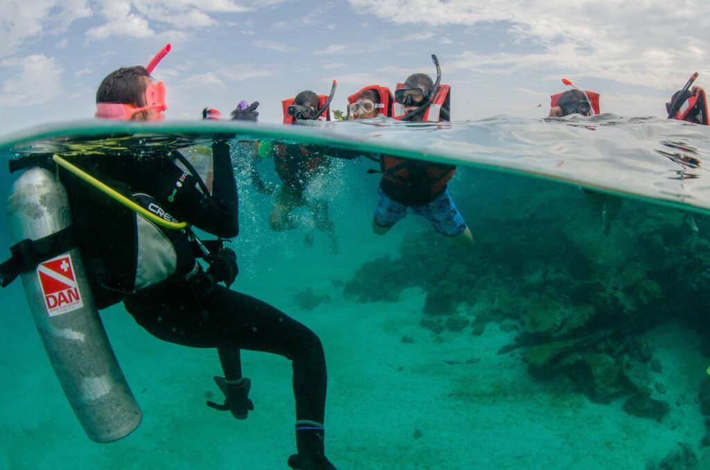 galapagos coral, reef revival, experiential learning